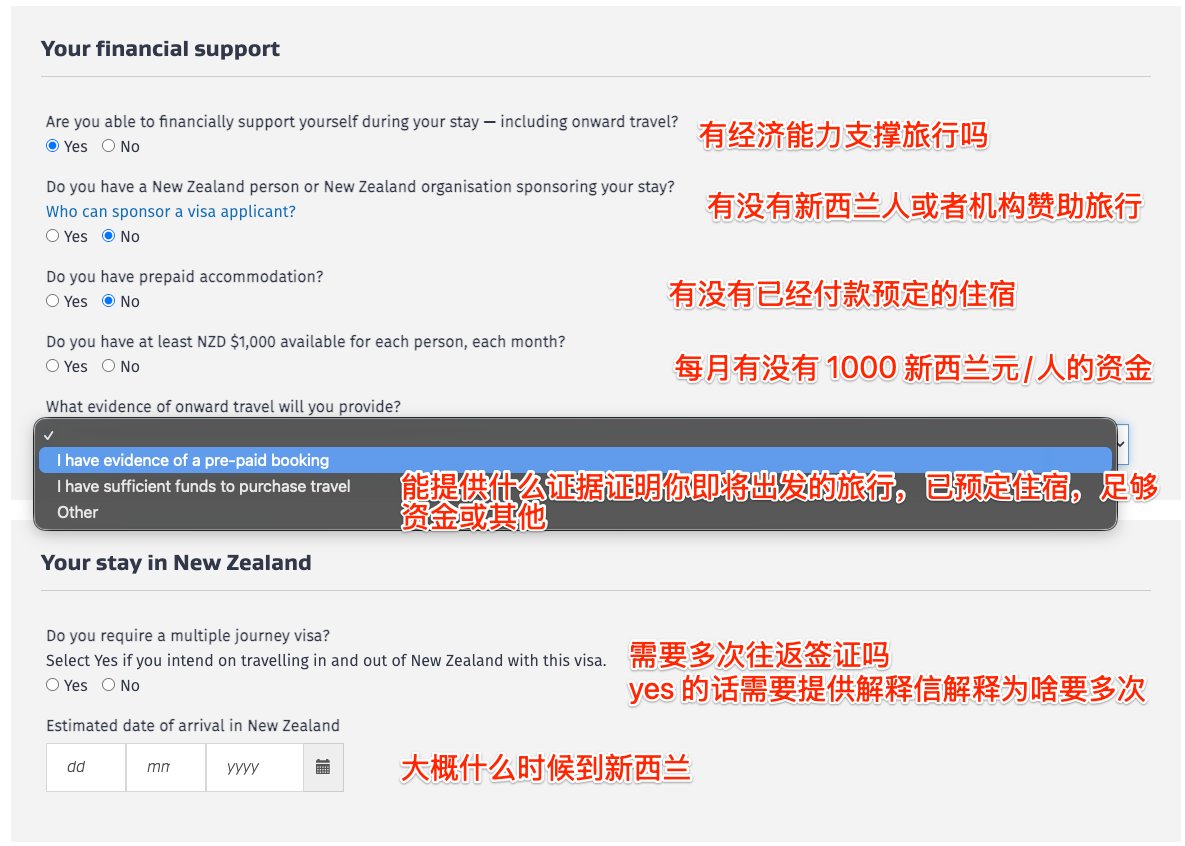 Step 12：填写经济支持与多次往返签证信息