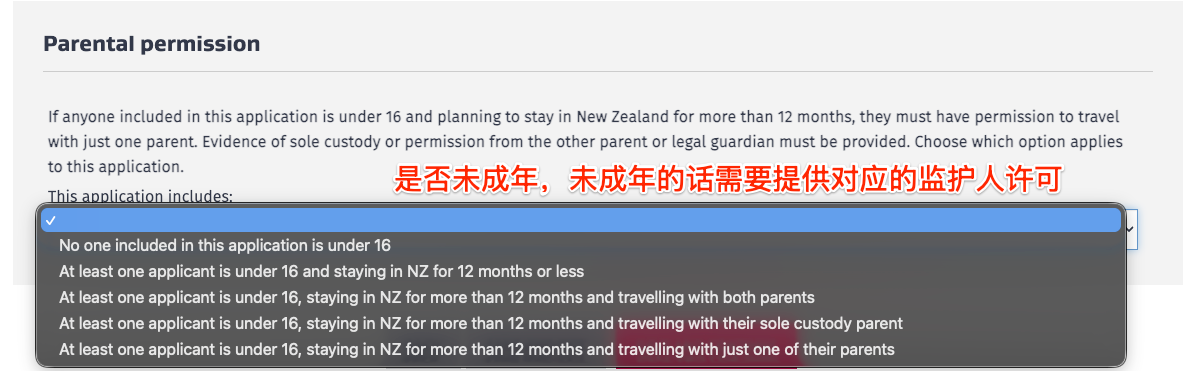 Step 13：填写未成年申请人情况